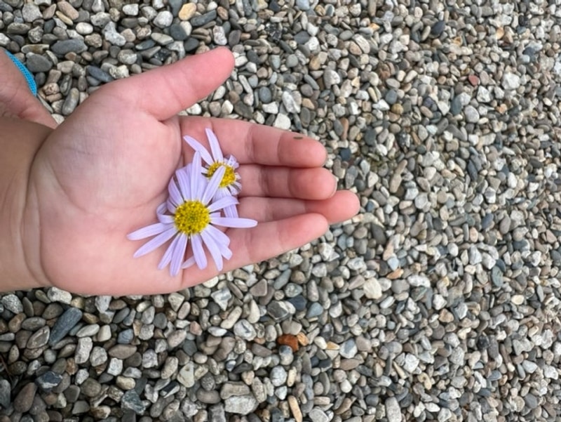 캠린이 두번째 피칭 여주 캠핑고래 강천캠핑장