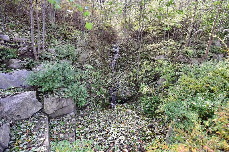 늘푸른쉼터 시설 사진 6