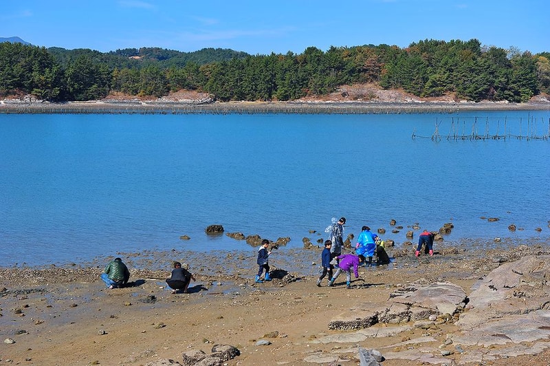 사천비토솔섬오토캠핑장 시설 사진 9