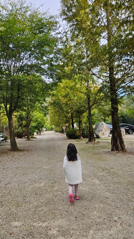 포천 계곡이 있는 도마치캠핑장 너른자리
