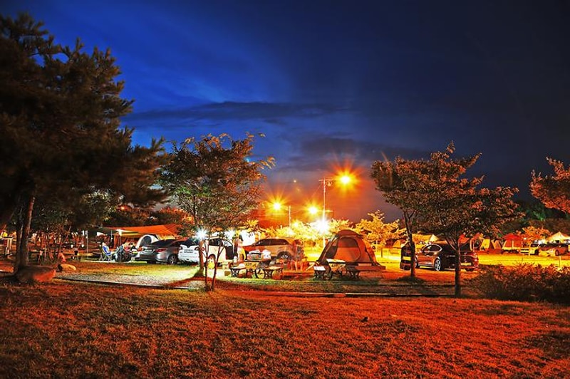 송지호 오토 캠핑장 대표 사진