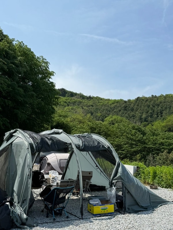 [강화도 캠핑장] 자연과 숲 | 반려동물가능, 재방문은 음...
