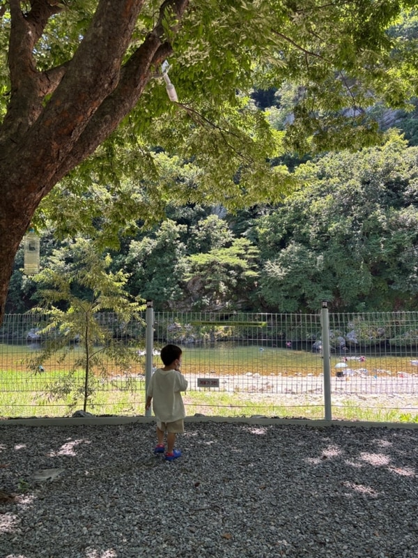 함께 여름에 가볼만한 계곡 캠핑장으로 가평 중바위 캠핑장