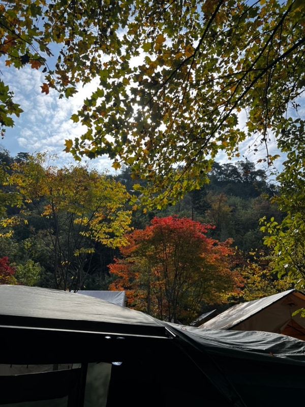 제천백운썬밸리캠핑장(가을 마지막 캠핑, 애견동반, 개별화장실)