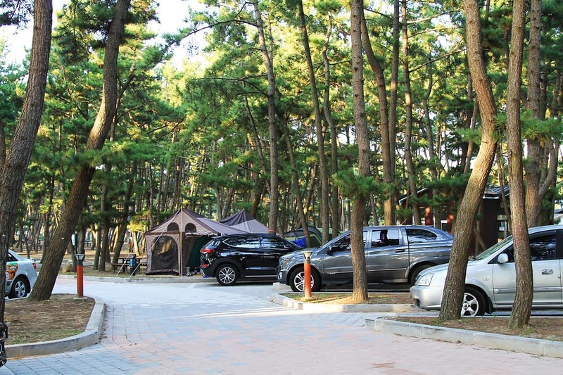 몽산포 자동차 야영장 시설 사진 10
