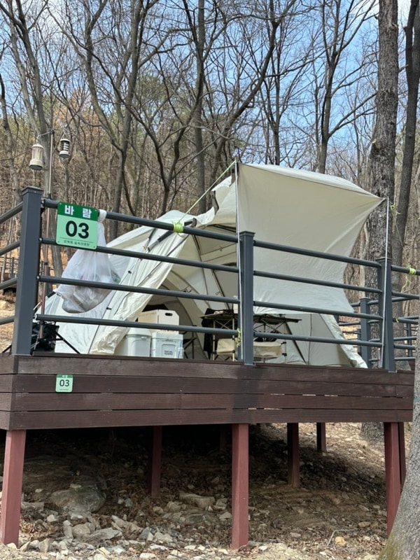 대전 | 성북동숲속야영장 바람3 | 자리추천 | 내돈내산