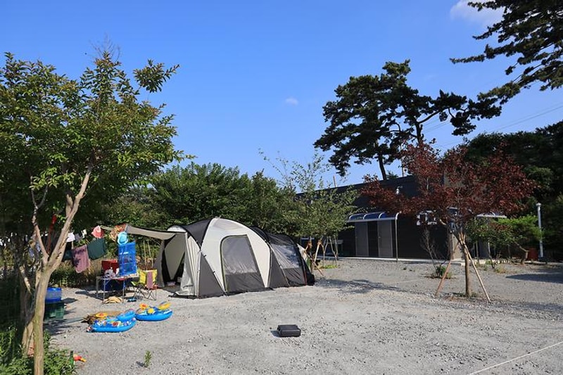 팔봉갯벌체험야영장 대표 사진