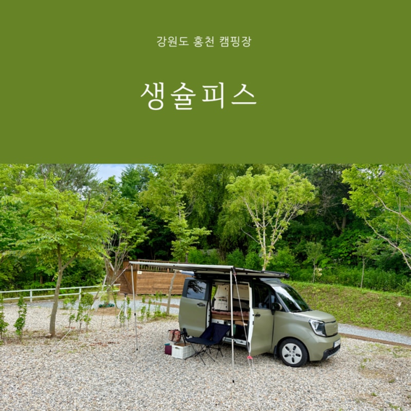 강원도 홍천 캠핑장 생슐피스 C2사이트 시설도 관리도 완벽