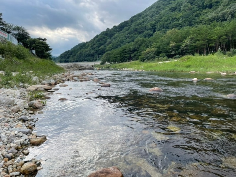 인제 구만동계곡 반려동물... 캠핑 후기 :: 돌배야영장 제1야영장