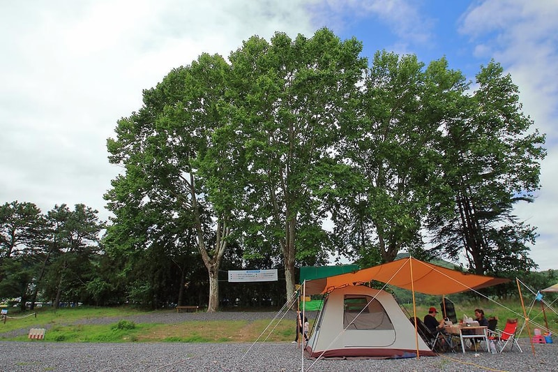 낙동강 레포츠밸리 강변오토캠핑장 시설 사진 6