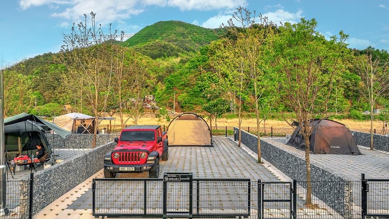 아워 포레스트 시설 사진 17