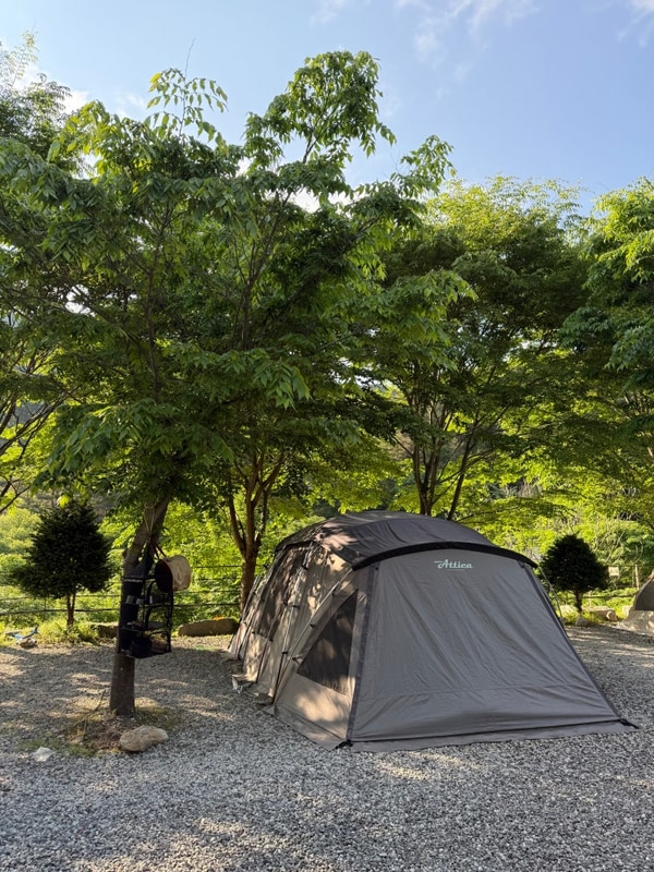 #25-09 함양 캠프더포레 [A3]