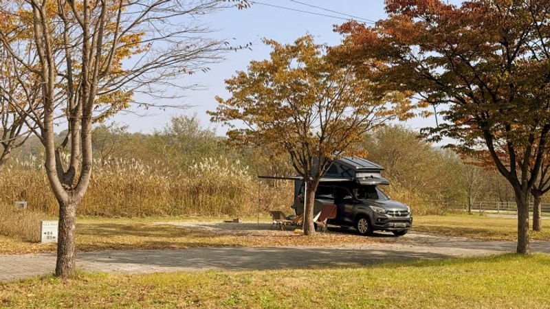 경기도 여주 대신오토캠핑장 넓은 자리 85번 예약 차박 후기