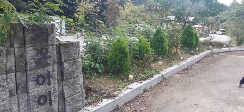 캠핑) 예산 라온아이오토캠핑장