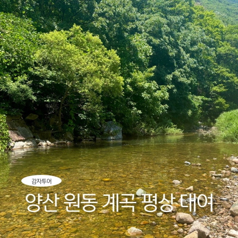 양산 계곡 평상 대여 수영장 애견동반 가능한 라라캠핑장