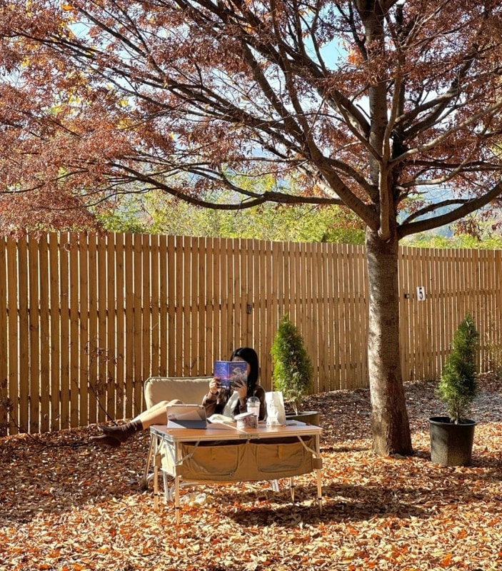 [가평]캠프241(+모든 사이트 사진 포함)ㅣ서울 근교 단풍...