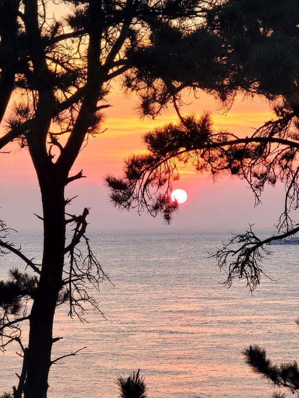 부산 근교 일출 명소 울산 대왕암오토캠핑장 방문 후기