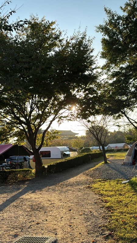 문라이트 캠핑장 명당자리 추천 | 강화 반려견 동반 캠핑장