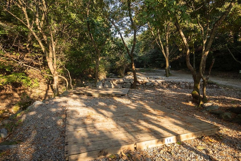 돈내미농장 시설 사진 20