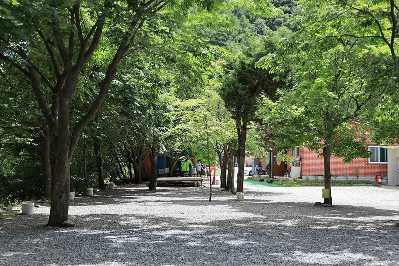 철이네캠핑장 시설 사진 8