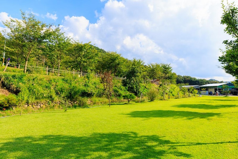 왕산골 관광농원 시설 사진 16