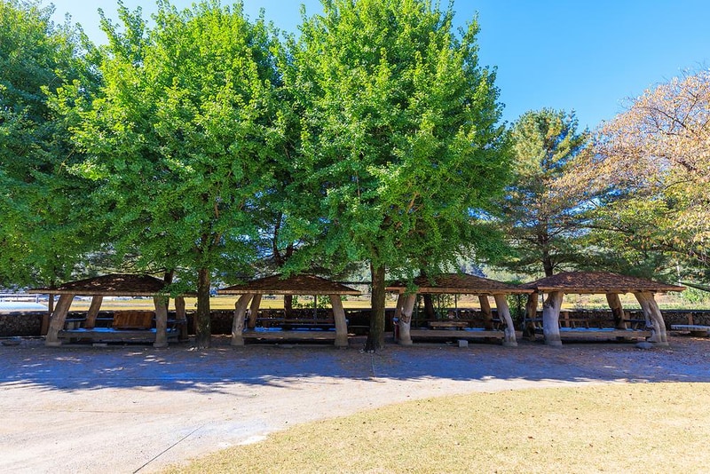 한성연수원 야영장 시설 사진 8