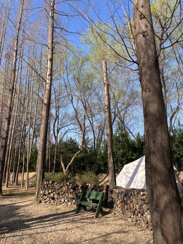 부산 근교 경주 캠핑장 무릉관광농원 솔직후기