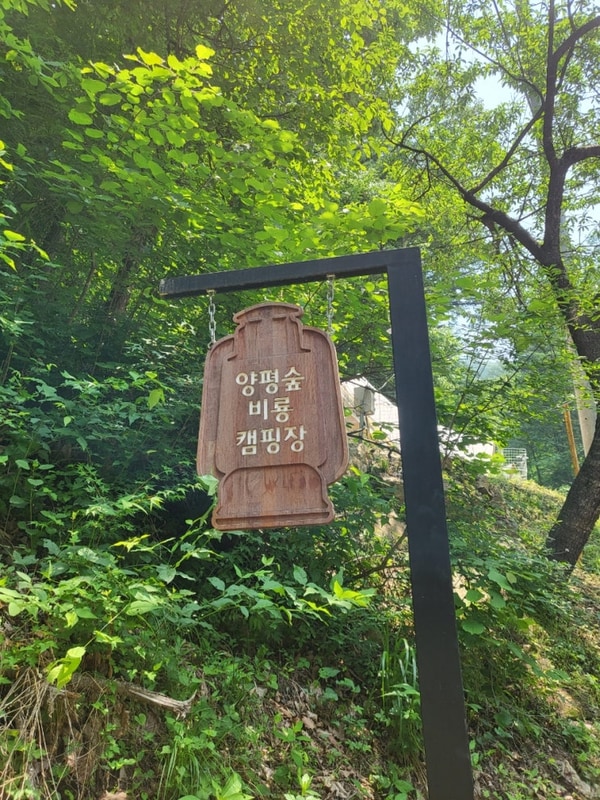 양평숲 비룡 캠핑장