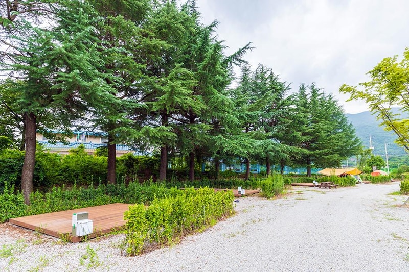 상주 감꽃마을 서울캠핑장 시설 사진 23