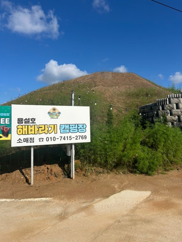 용설호 해바라기 캠핑장