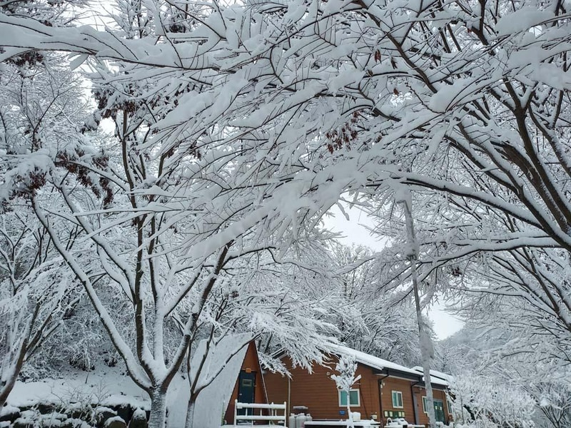 횡성산울림오토캠핑장 시설 사진 20