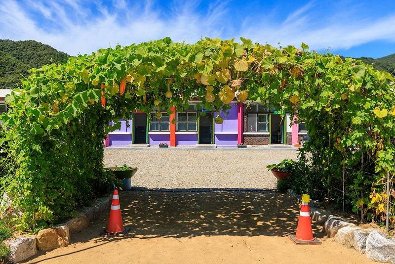 솔부엉이 캠핑장 시설 사진 21