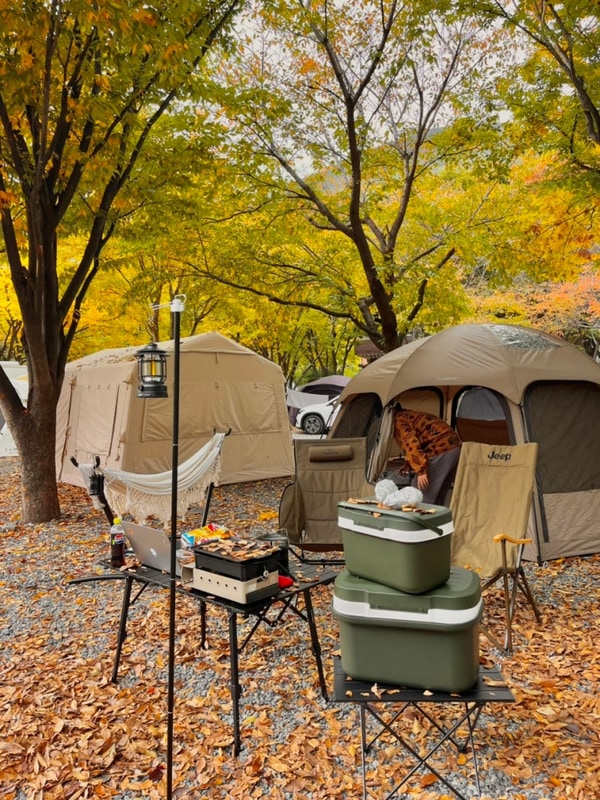 1박 2일 코스 밀양 캠핑 알프스 캠핑장 (밀양맛집 부산집 또간집)