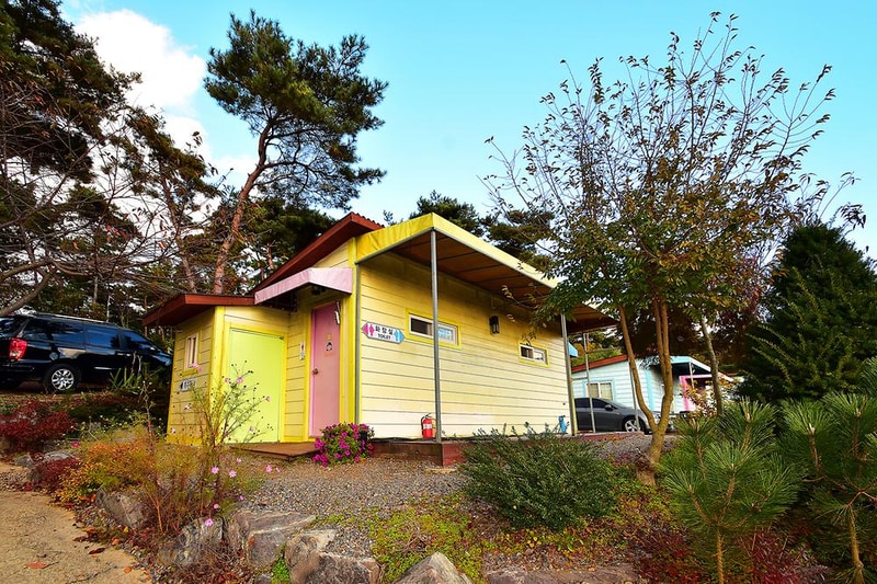 아잘리아 그린 시설 사진 14