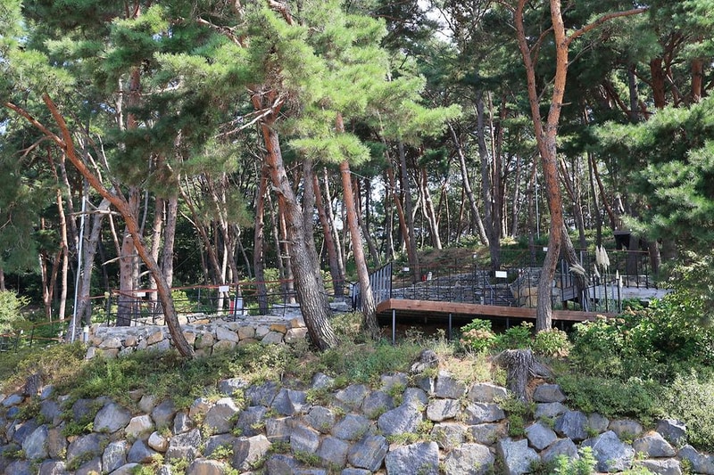 청춘별곡 시설 사진 9