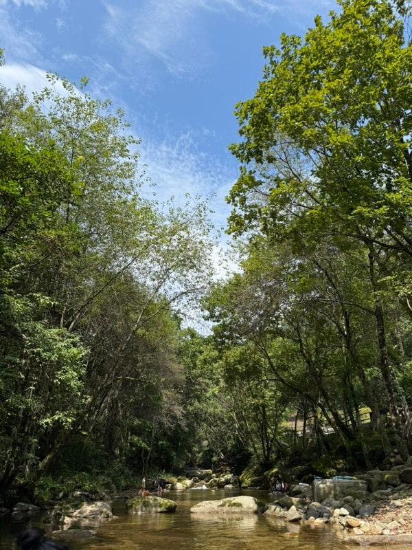 [평창] 유포리아 캠핑장 후기