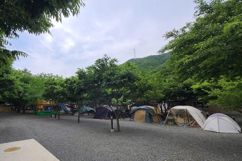 알프스캠핑 대표 사진