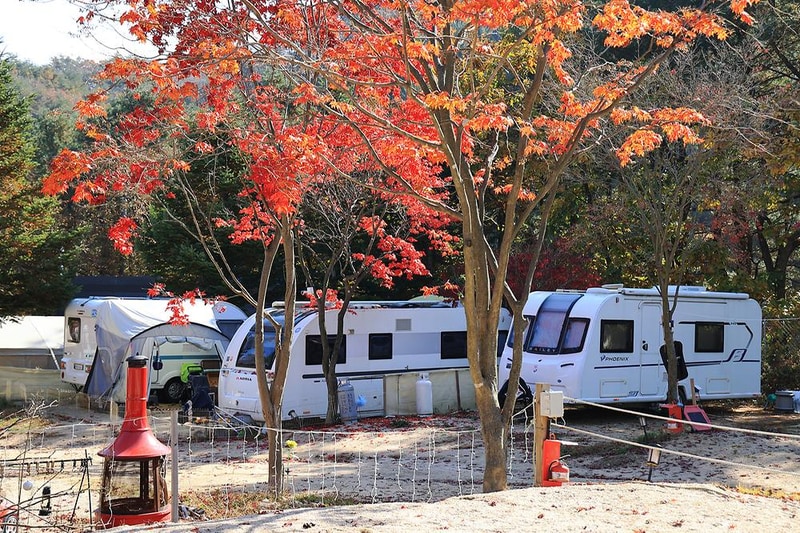 위드독스in포천 시설 사진 14