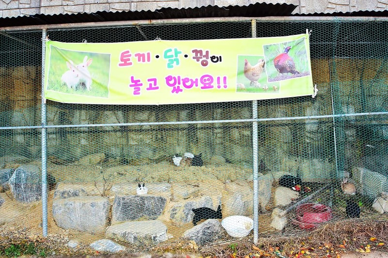 은해사권역 은해로운 휴양마을 캠핑장 시설 사진 6