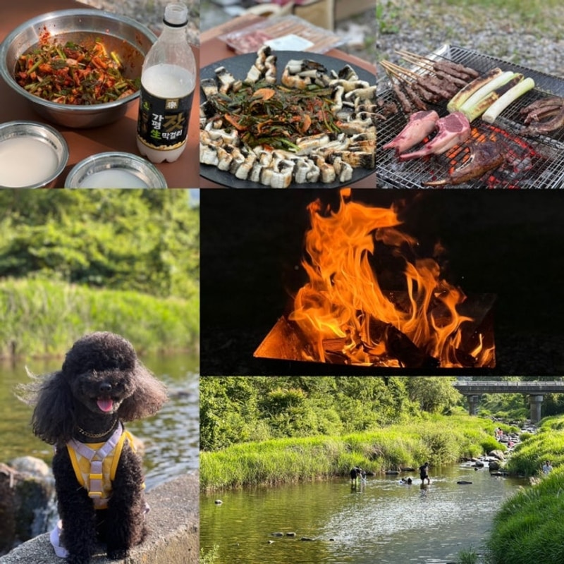가평 계곡있는 애견동반캠핑장 밤나무숲캠핑장