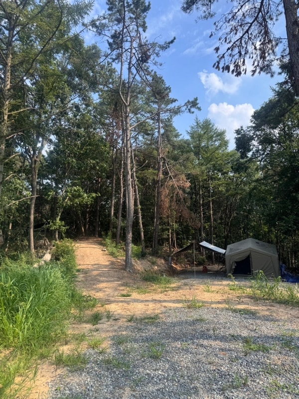 [경기 양평 캠핑장] 수영장이... 찾는다면 "엘모로캠핑장...