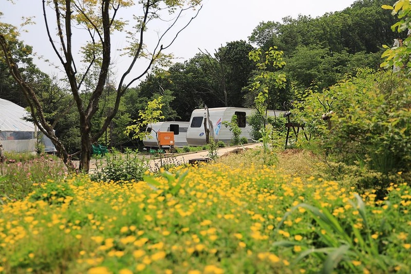 아르보리아파크 캠핑장 시설 사진 6