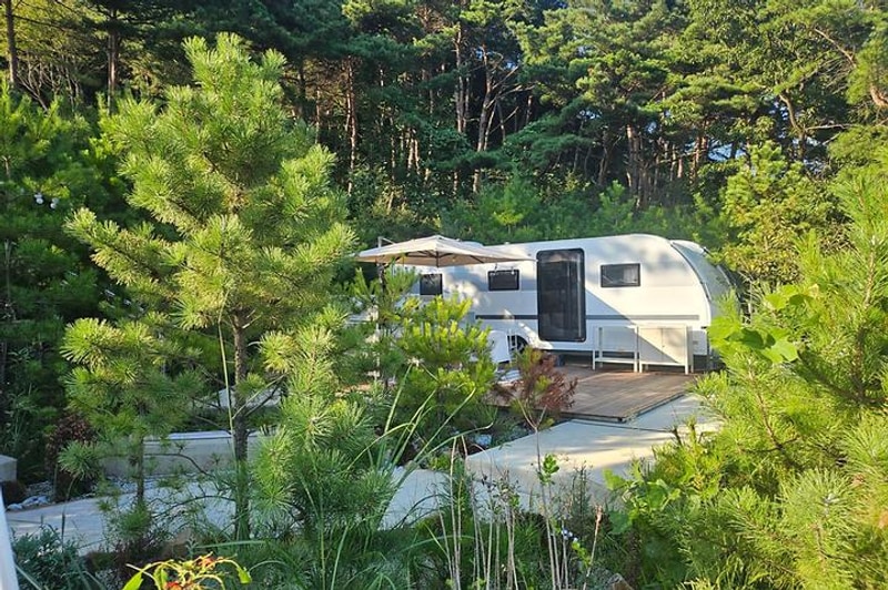 청도브리즈힐캠핑앤카라반 대표 사진