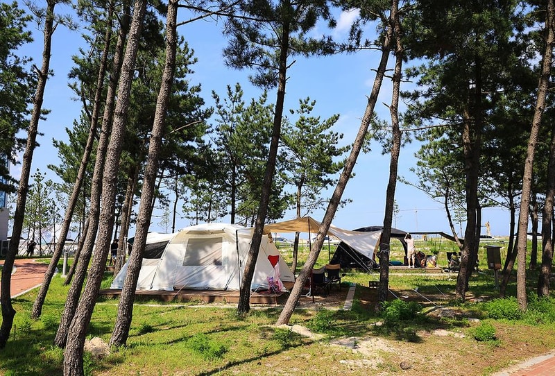 자작도캠핑장 시설 사진 4