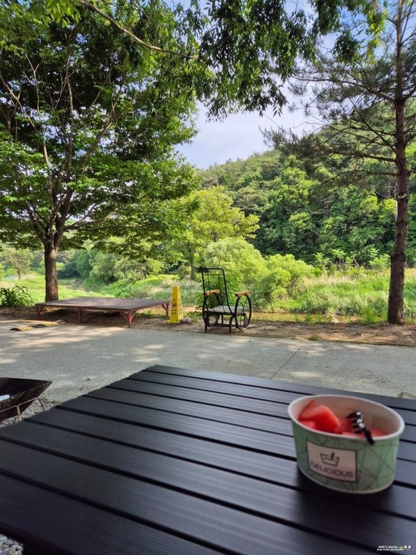 괴산 깨끗한 캠핑장 아이랑 가기 좋은 솔맹이캠핑장