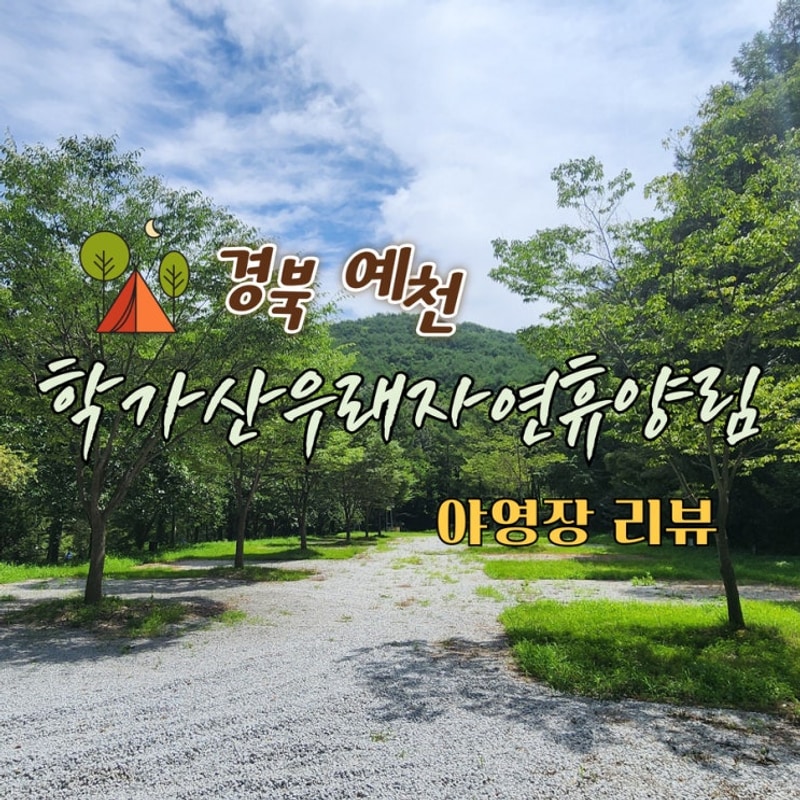 [경북 예천] 학가산우래자연휴양림 야영장 리뷰