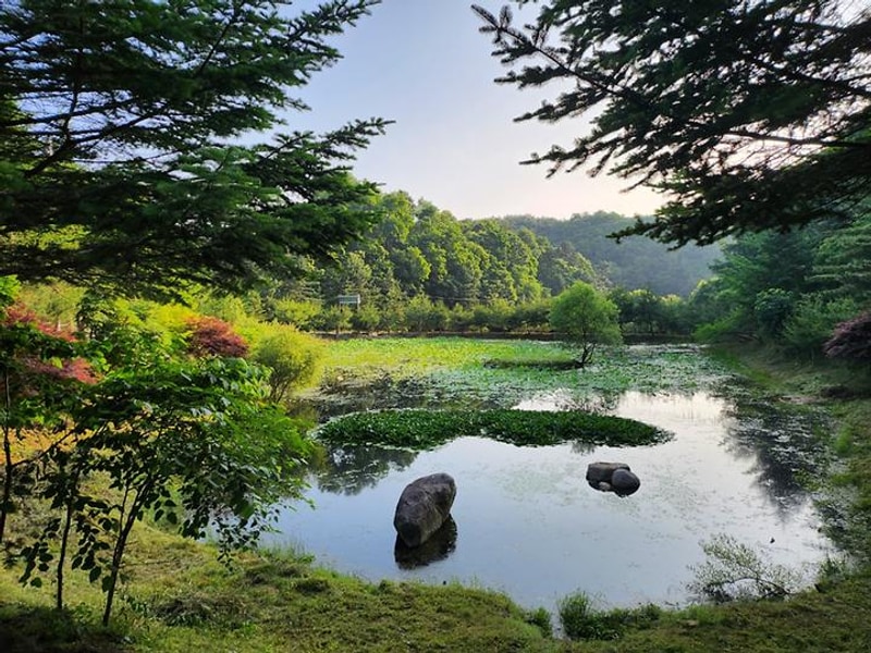 도모 횡성 대표 사진