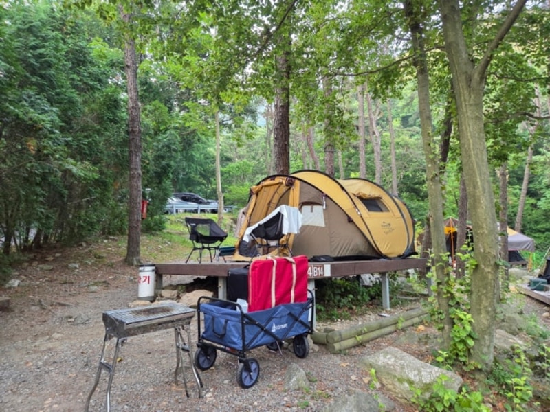 안양 병목안 캠핑장 B14사이트 캠핑하고 오기