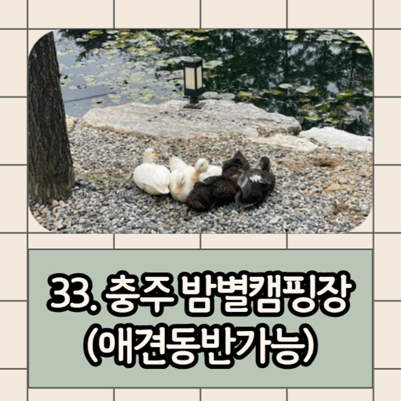 아빠캠핑 33: 충주 밤별캠핑장