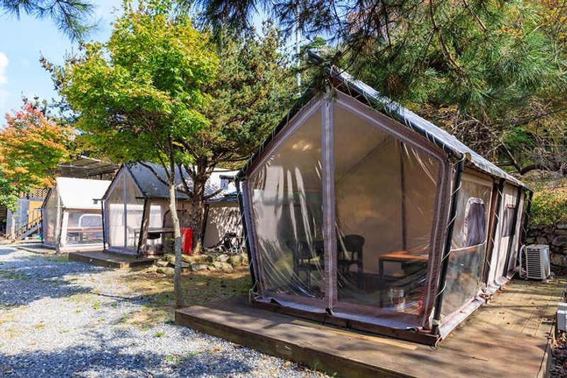 심천치유자연휴양림야영장 대표 사진